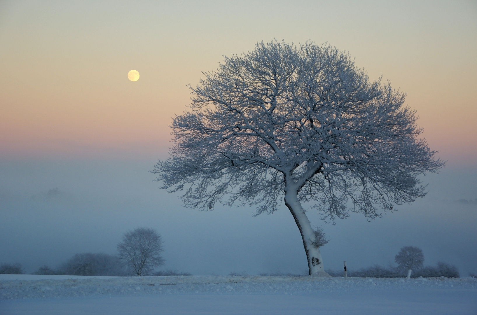 Rekordwinter Dezember 2010