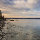 Relativ wenig Wasser im Bodensee