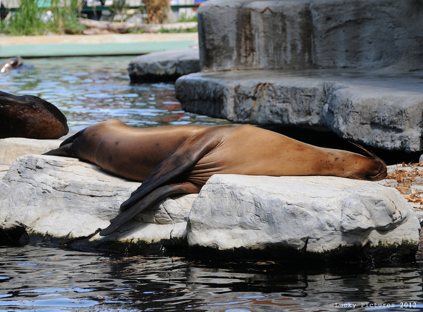 Relax - at the Zoo