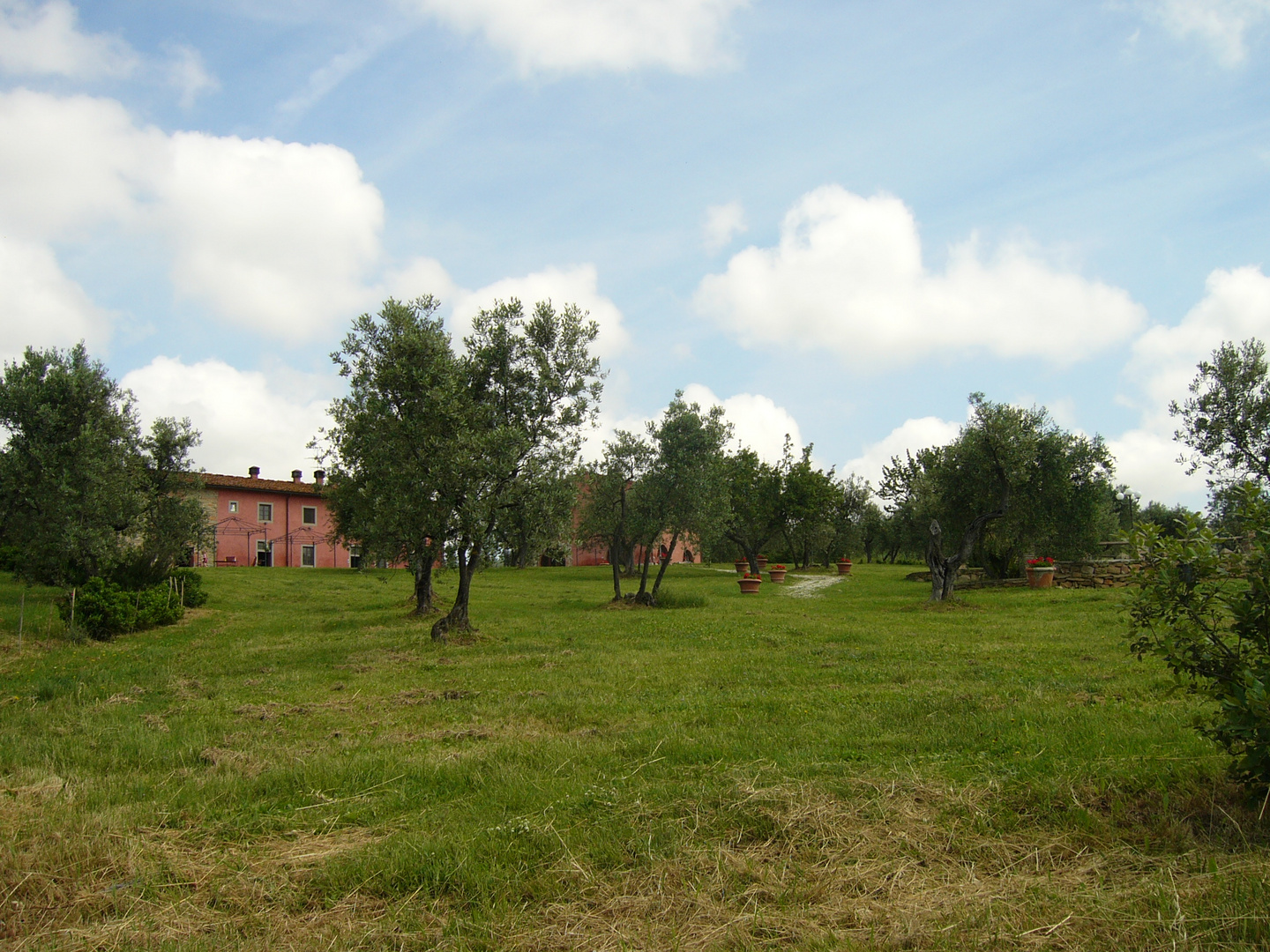 Relax in campagna