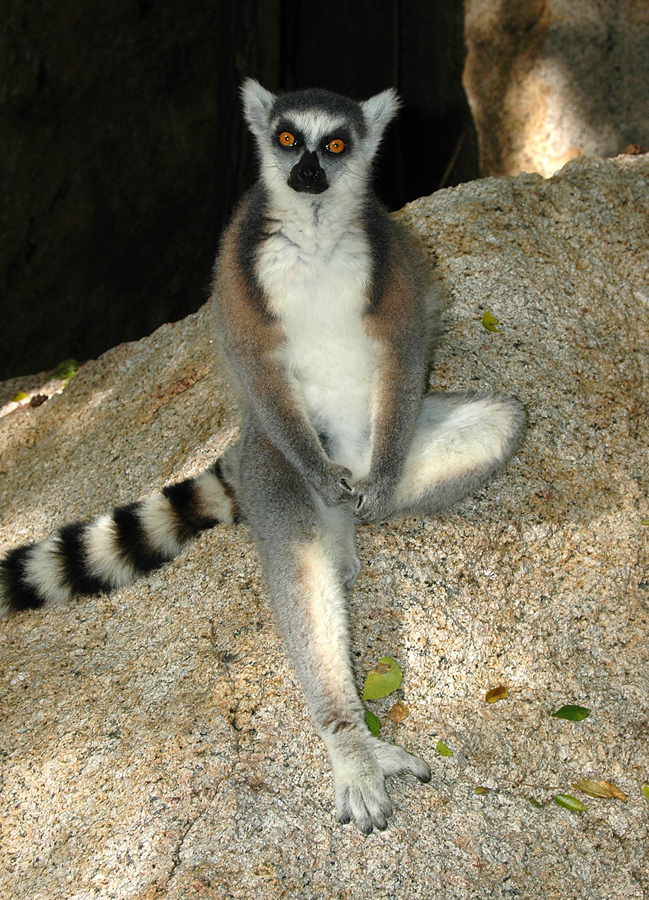 Relax in Madagaskar