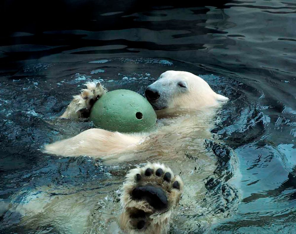 Relax mit Ball