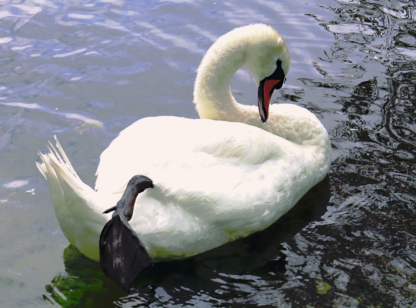 Relax......auf Insel Mainau