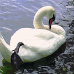 Relax......auf Insel Mainau