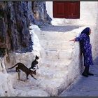 Relaxed Old Woman And Cats