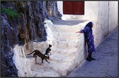 Relaxed Old Woman And Cats