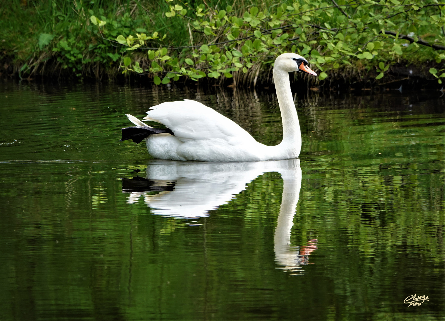 Relaxed über den Schlosspark-Teich