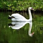 Relaxed über den Schlosspark-Teich