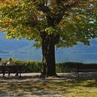 Relaxen am Kochelsee