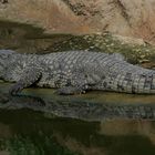 Relaxen am Wasser