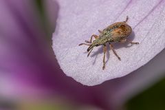 Relaxen auf der Sonnenterrasse