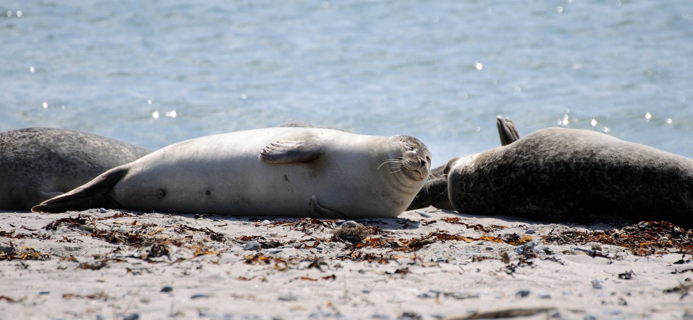 Relaxen auf Helgoland