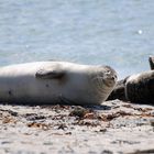 Relaxen auf Helgoland