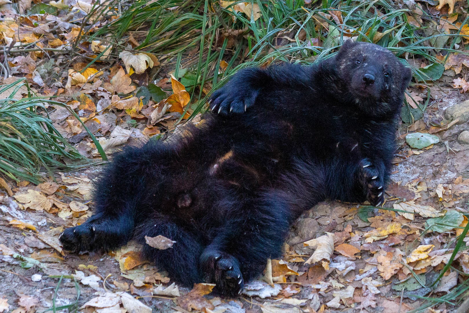 Relaxen bis zum Frühstück!