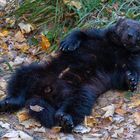 Relaxen bis zum Frühstück!