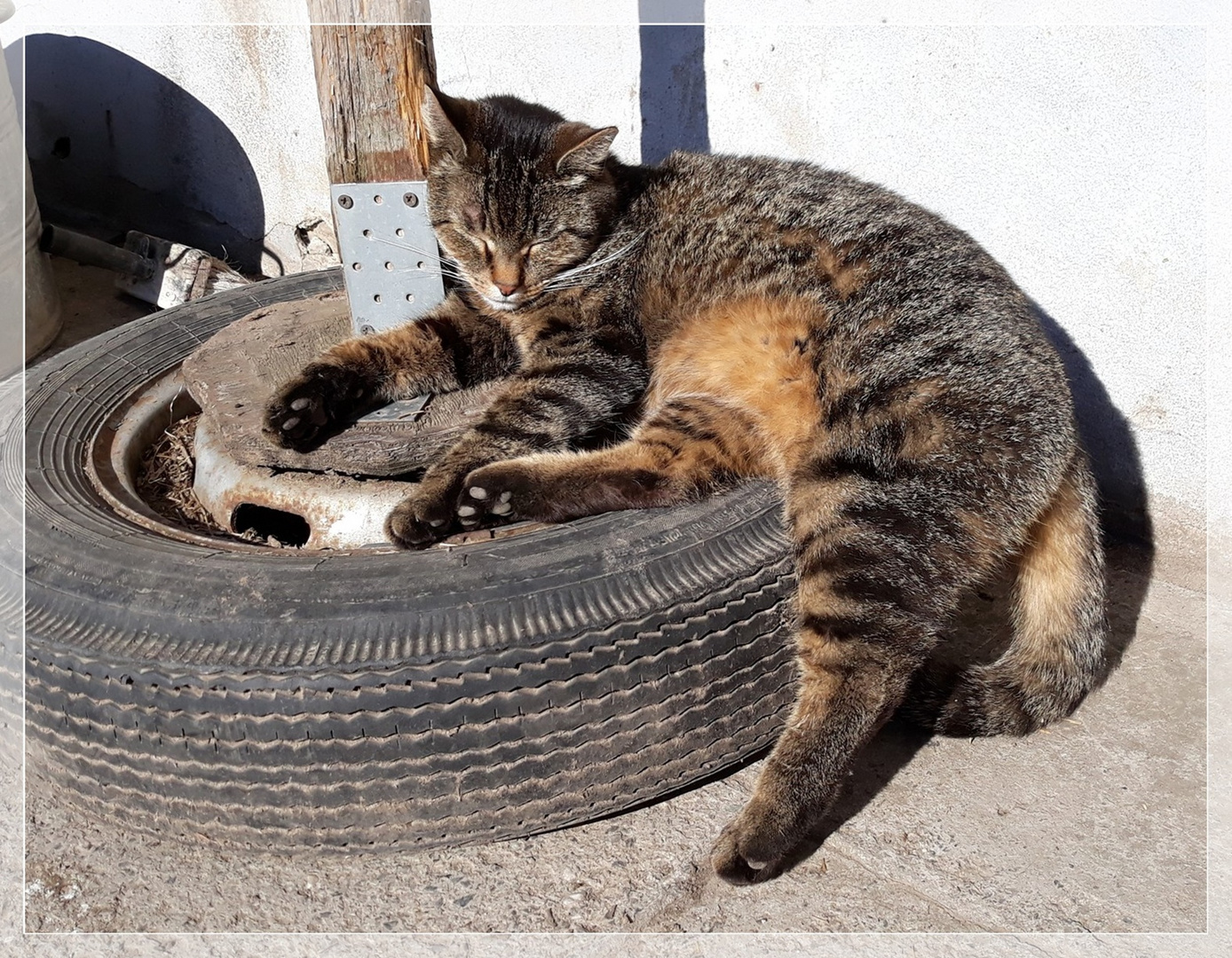 Relaxen geht überall ...