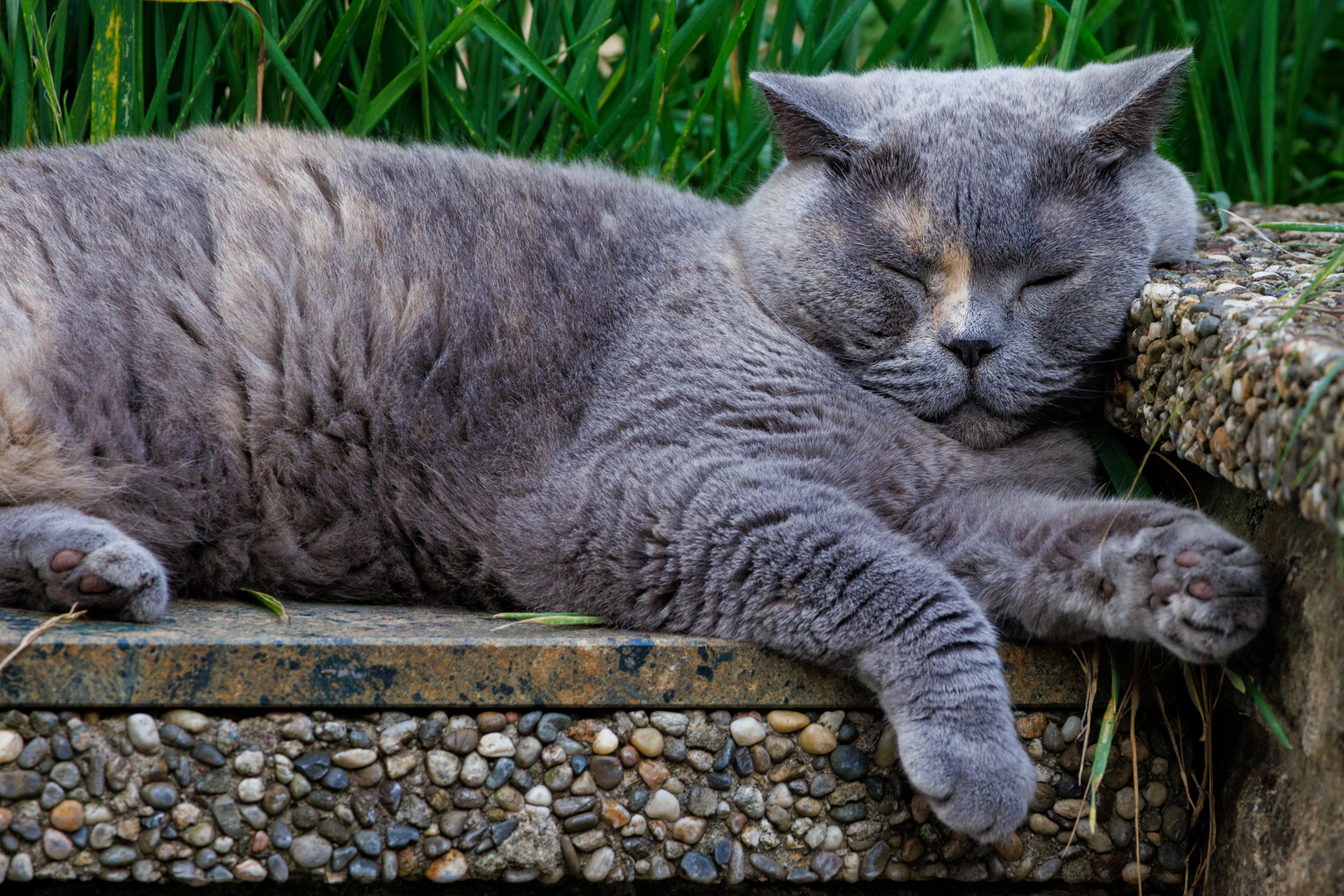 Relaxen im Garten