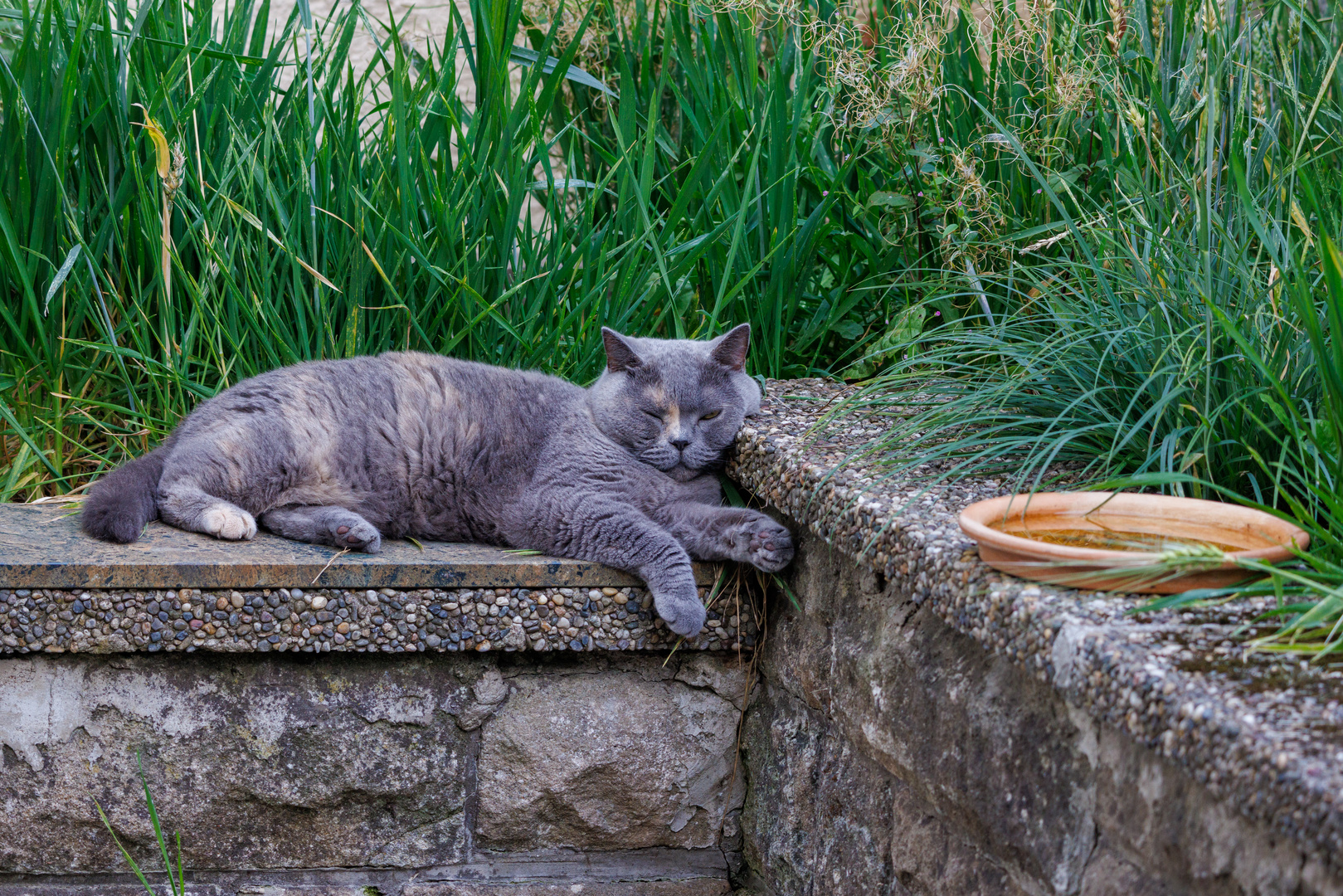 Relaxen im Garten