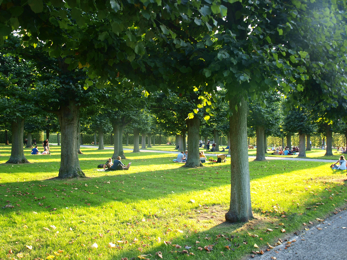 Relaxen ,im Herrenhauser Park