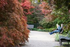 Relaxen im Park