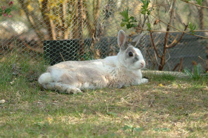 Relaxen im Schatten