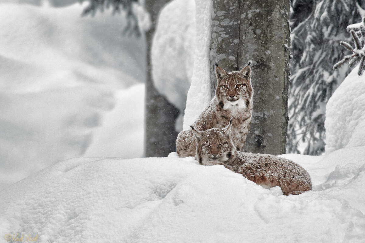 Relaxen im Schnee.. :)