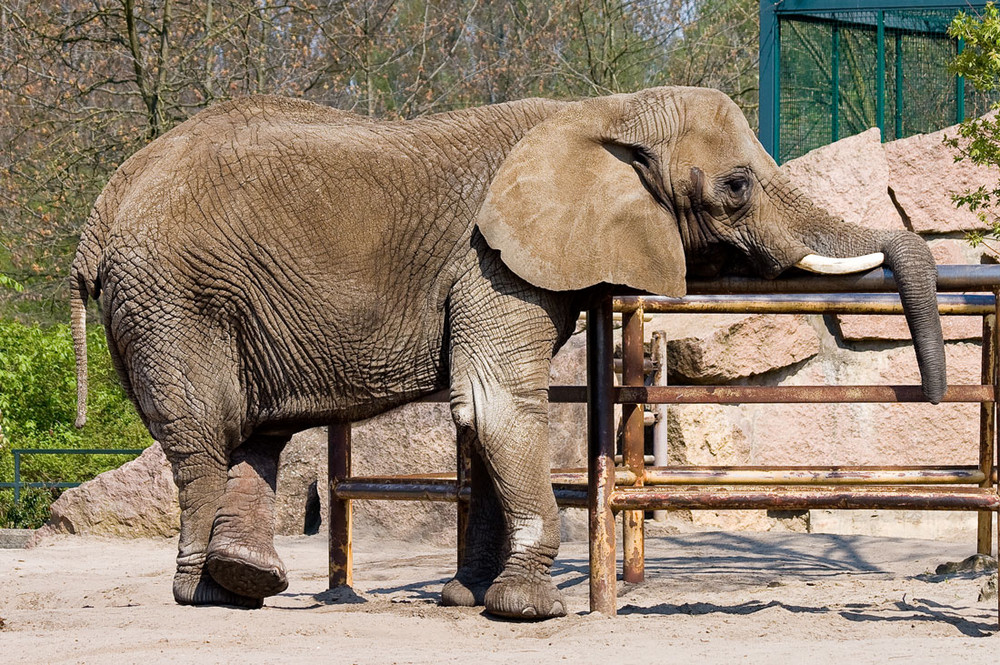 Relaxen im Tierpark