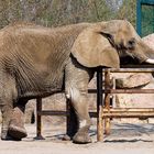 Relaxen im Tierpark