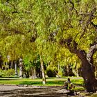 Relaxen im Viveros Park