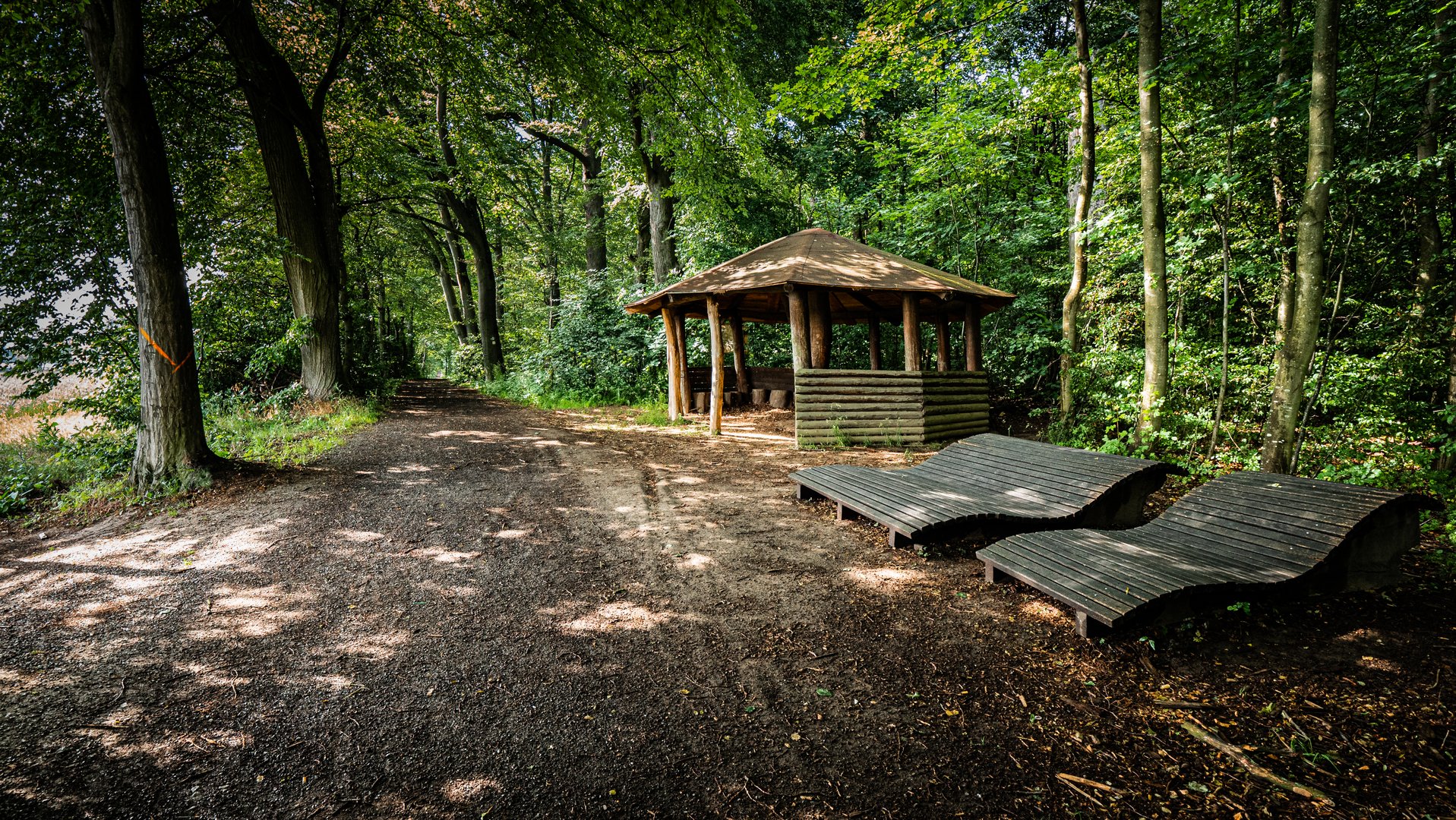 Relaxen im Wald