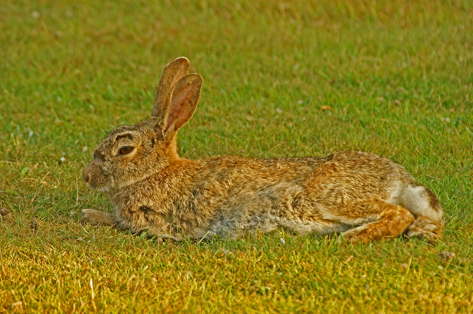 Relaxen in der Abendsonne