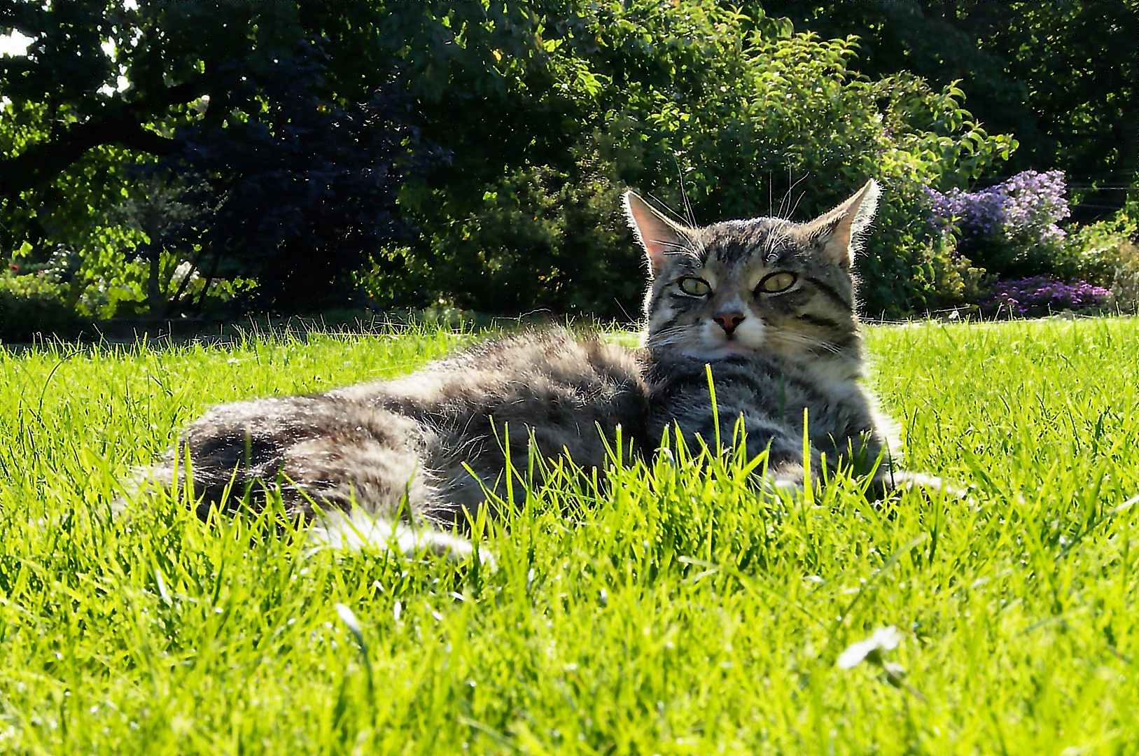 Relaxen in der Sonne