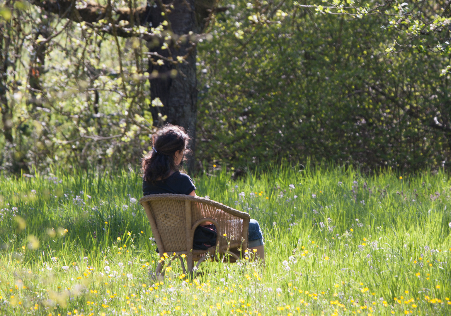 Relaxen zwischen Obstbäumen