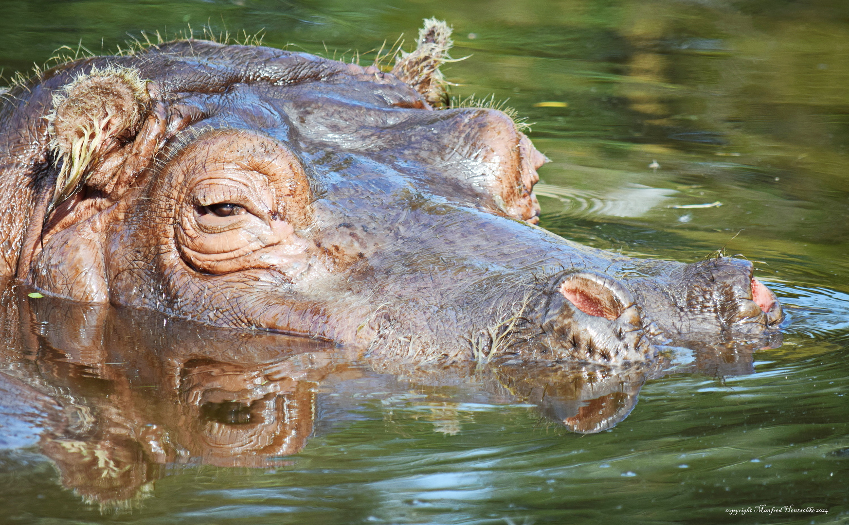 Relaxen.ist alles