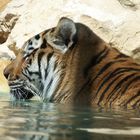 Relaxing Bath