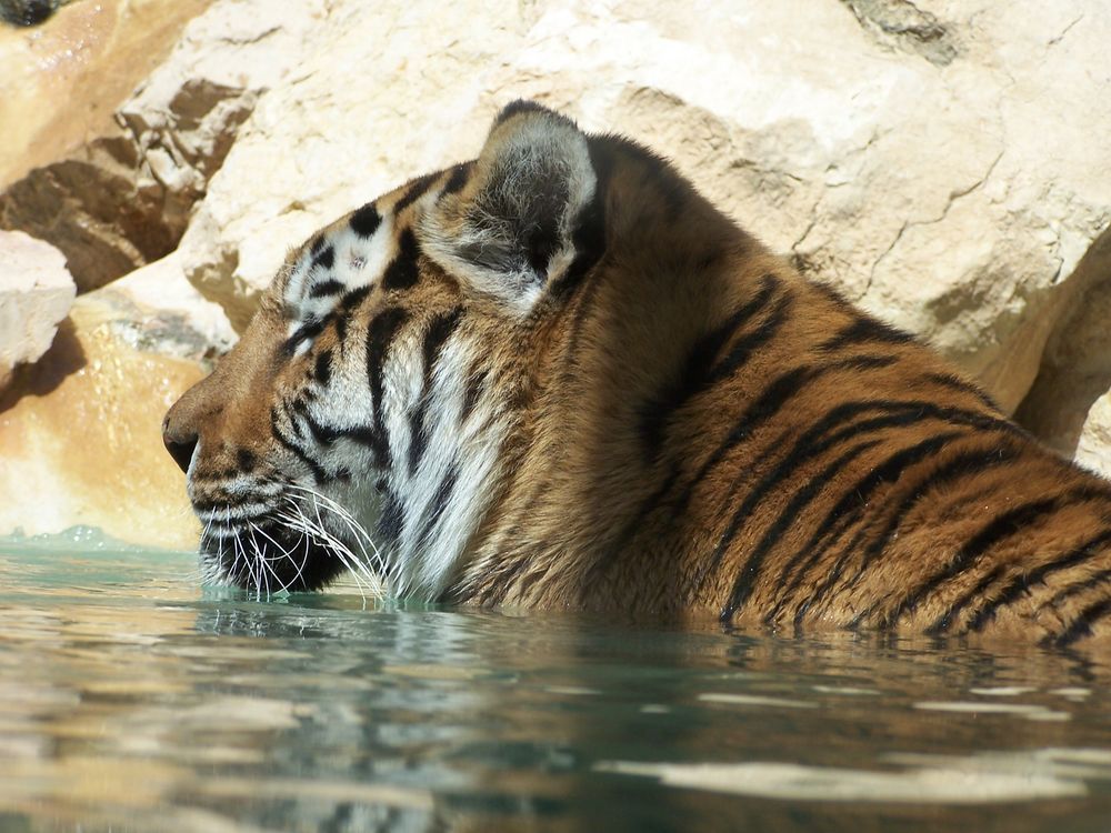 Relaxing Bath