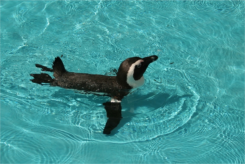 relaxing im Leipziger Zoo