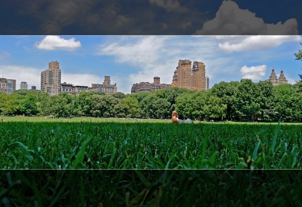 Relaxing in the Central Park