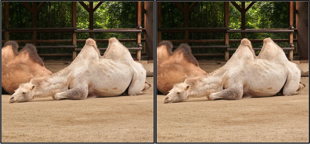 Relaxmel, in der Ruhe liegt der Raum!