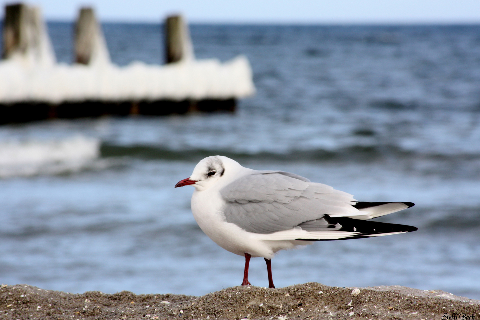 relaxt bei Strandspaziergang