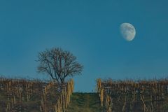 relazioni comuni