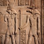 reliefdetail tempel kom ombo (ägypten)