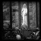 ...Religionsfreiheit   ...   |X|©D7062--Xquad_BWViB4aq