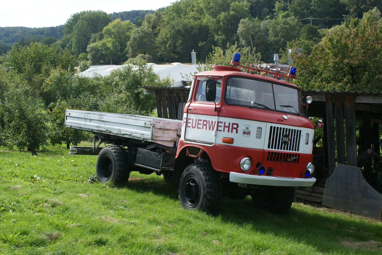 Relikt aus alten Zeiten in neuer Umgebung