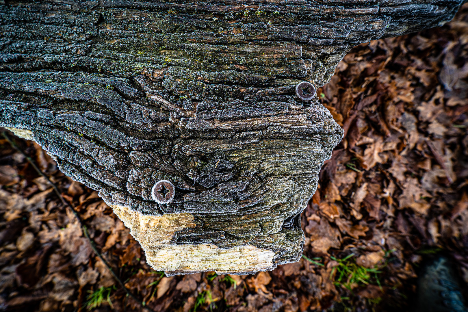 Relikt eines Holztisches