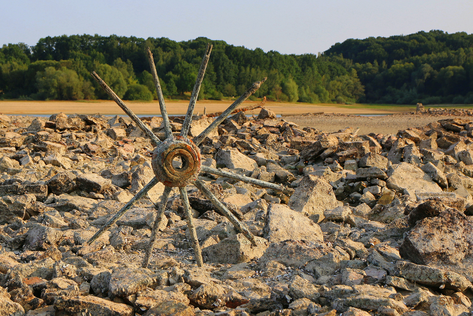 Relikt im Bautzener Stausee