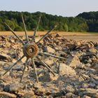 Relikt im Bautzener Stausee