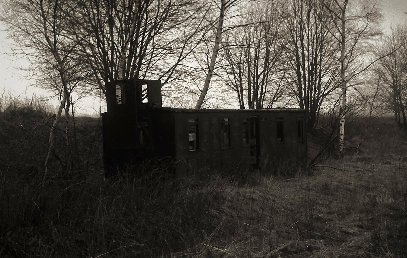 Relikt im Wald bei Müdisdorf