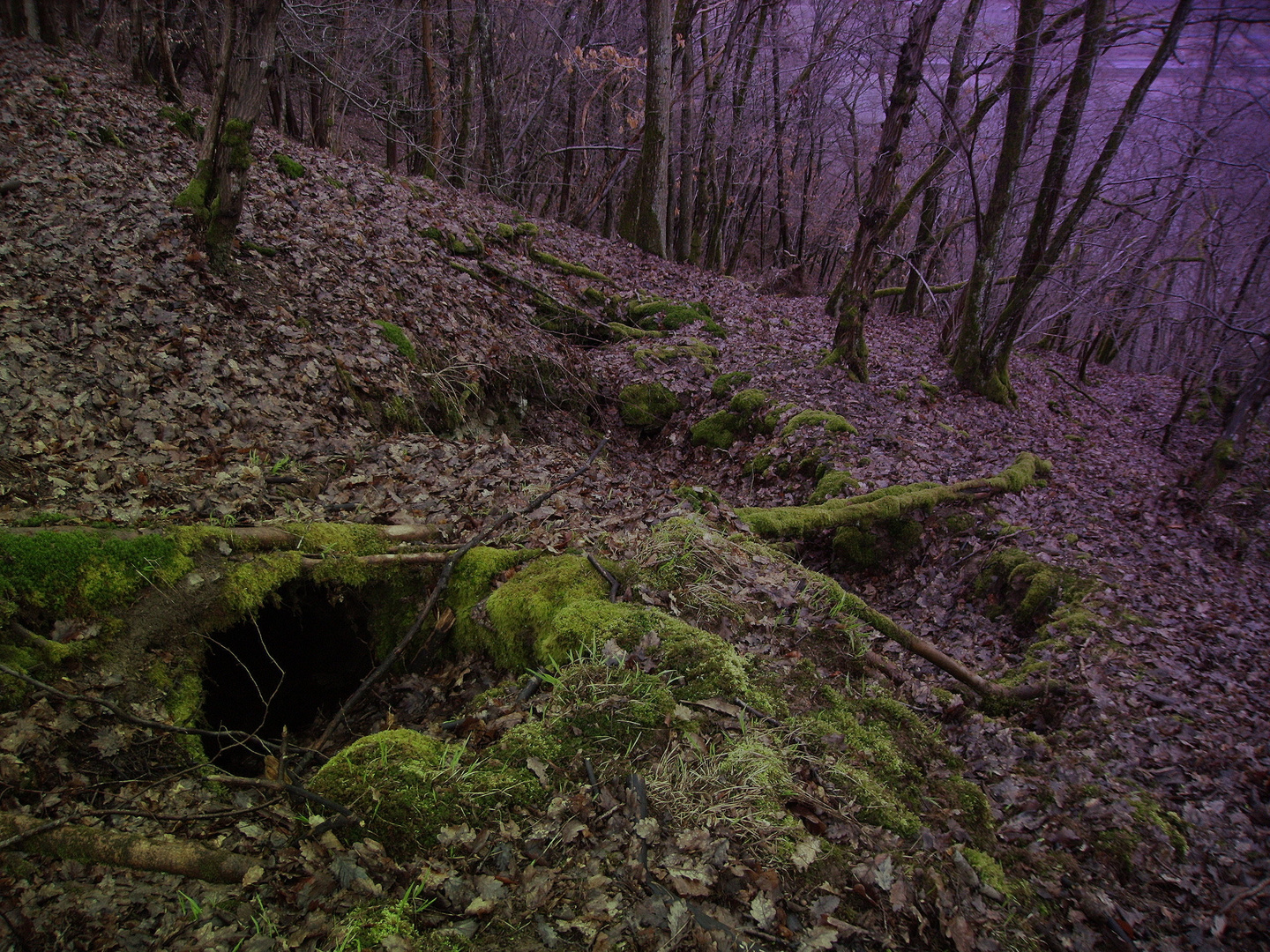 Relikte der Geschichte - Sturm über die Mosel 1945