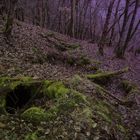 Relikte der Geschichte - Sturm über die Mosel 1945